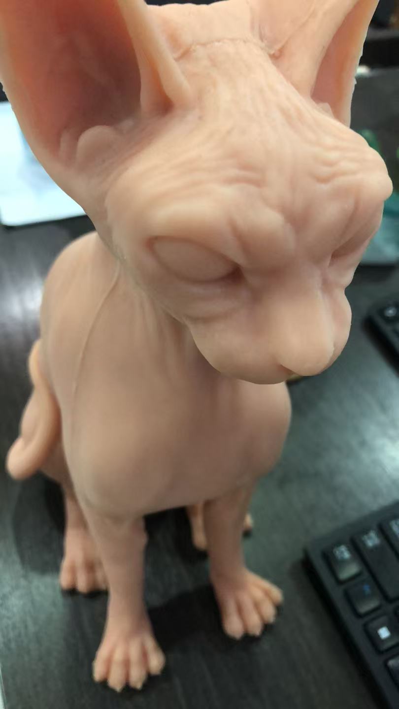 A Pound of Flesh Tattooable Naked Cat