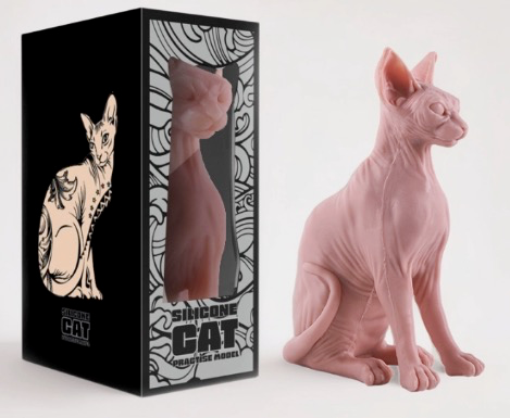 A Pound of Flesh Tattooable Naked Cat